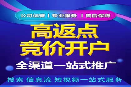 专业竞价SEM托管成功案例解析